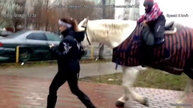 Парк лошадь смотреть онлайн