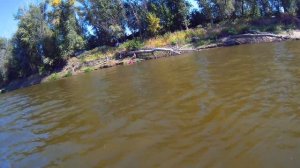 Рыбалка Ахтуба, Харабали 2018г