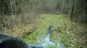 Вологодский каракат зис 5