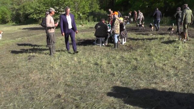 61 Ставропольская выставка 21.05.2022. Выжлецы средняя группа. смотреть онлайн