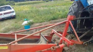 Трактор ЮМЗ копает картошку Польская картофелекопалка tractor digs potatoes  #vseklevo #синийтракто