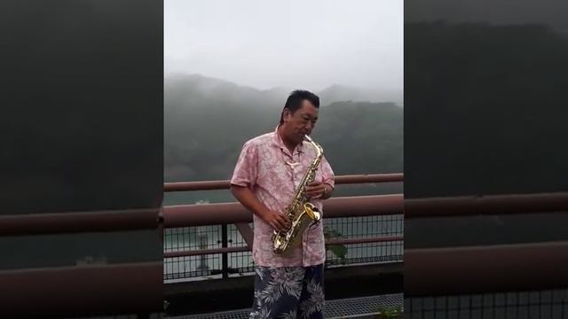 松田聖子さん#抱いて 半世紀の時を越えた #nikkanアルトサックス 野外ライブ смотреть онлайн