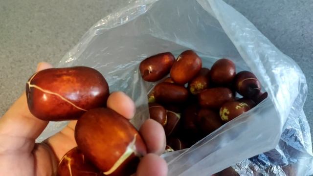 Унаби сбор урожая, обзор сортов, итоги сезона смотреть онлайн