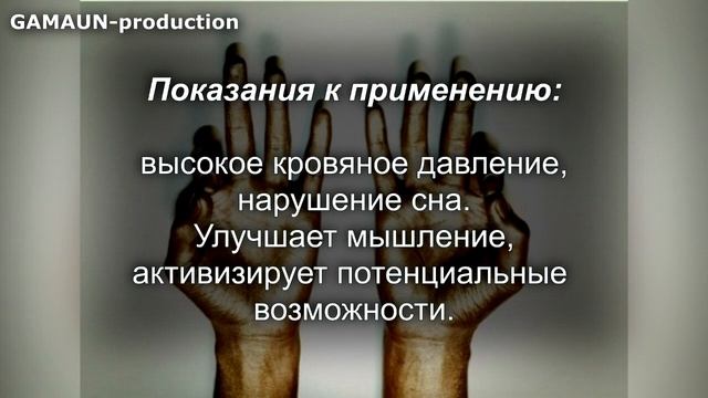 Мудры - йога для пальцев (обзор и толкования позиций). смотреть онлайн