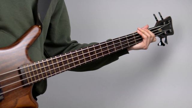 Feuerschwanz - Bastard Von Asgard (Bass Cover) + TAB