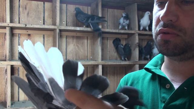 Вернулся домой и что увидел... смотреть онлайн