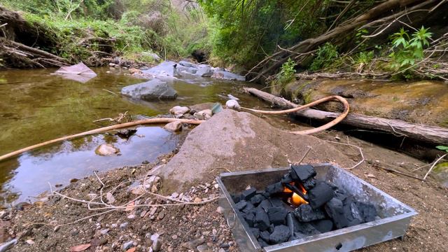 1 Hour 4K Campfire by the River - Relaxing Fireplace & Nature Sounds - Robin Birdsong смотреть онлайн