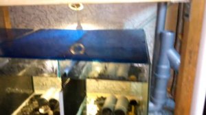 УЗВ для австралийских раков своими руками!