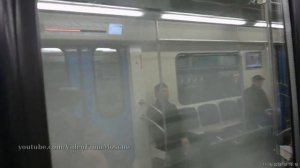 метро "Мичуринский проспект" //  16 и 17 ноября 2018