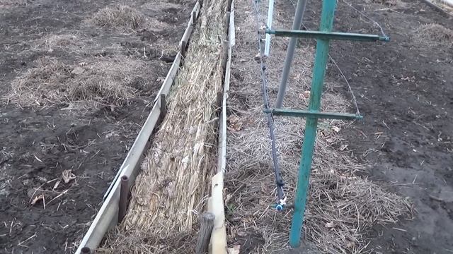 Укрытие винограда на зиму смотреть онлайн