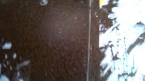 Домофонная Система Цифрал(Cyfral).Открытая дверь.Регулировка пластины магнита.