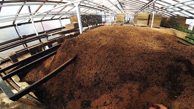 Как приготовить землю для рассады в теплице? смотреть онлайн