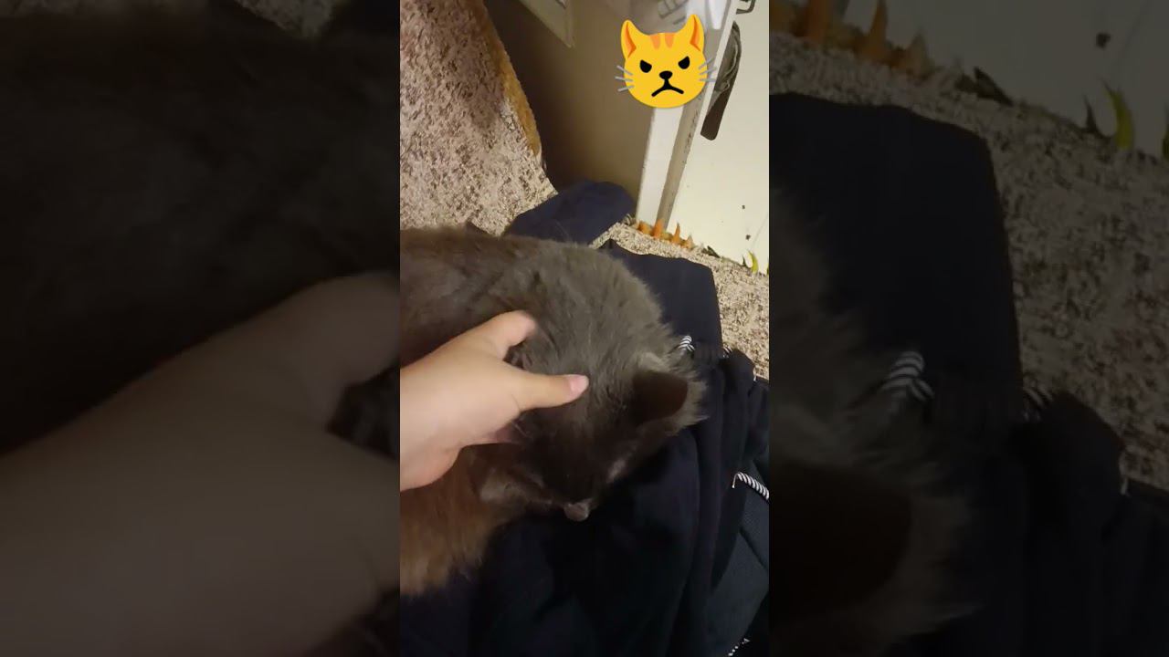 22 сентября 2023 г. смотреть онлайн