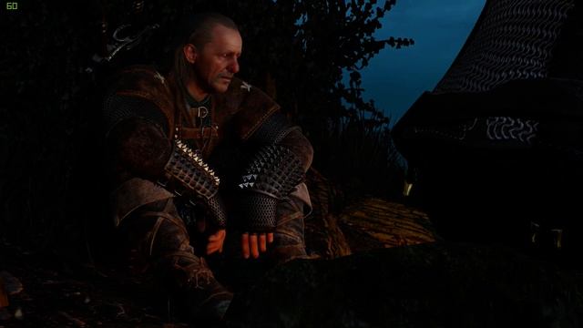 The Witcher 3 Wild Hunt - 60 fps MSI Geforce GTX 1050Ti Gaming X смотреть онлайн