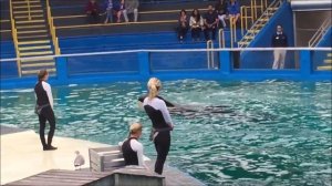 Review Miami Seaquarium