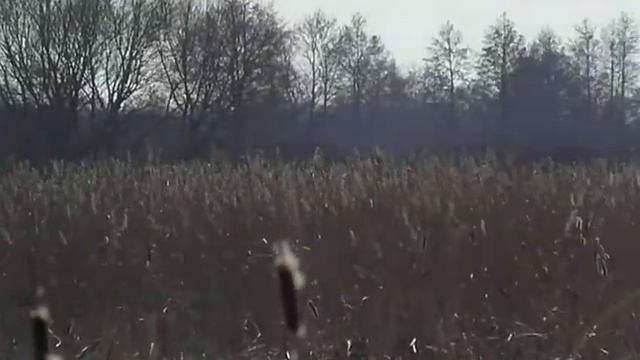 Река Щара. 13 Марта 2011 смотреть онлайн