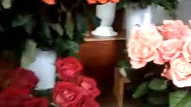 Магазин цветов смотреть онлайн