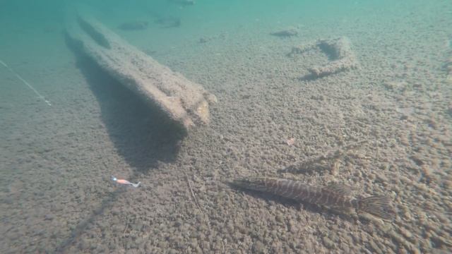 Рыбалка в Карелии. День 5 / Ловим щуку и окуней / ночуем на острове