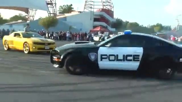 Мустанг о других старн воттакие машины нету смотреть онлайн