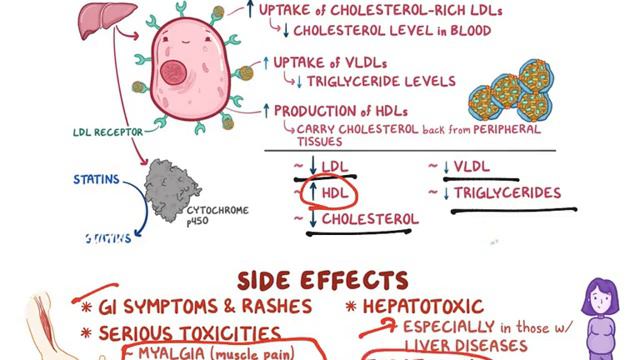 Antilipedemics : Statins, Fibrates, Resins, Niacin & Ezetimibe смотреть онлайн