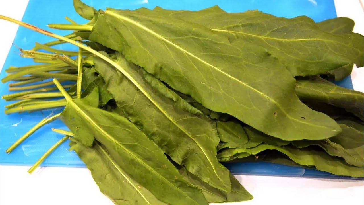 Как заготовить щавель на зиму - быстрый и простой рецепт. смотреть онлайн