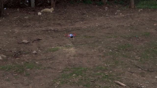 29-Летний Парень Попробовал Мою Невыносимуя Круговую Базовую Тренировку На Брусьях!(ОЧЕНЬ СМЕШНО!) смотреть онлайн