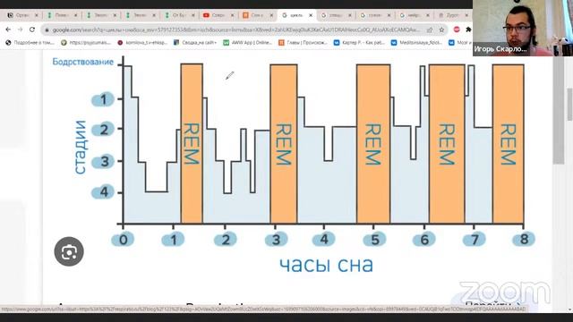 ООО "Парклэнд"/ Гимнастика мозга/G-02074919/ПТ 14.30-16.30/Скарлош Игорь Антонович смотреть онлайн