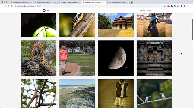 Efecto Glassmorfismo, Menú hover circular, Instagram Feed, Divi Ajax Filter, tutoriales divi. смотреть онлайн