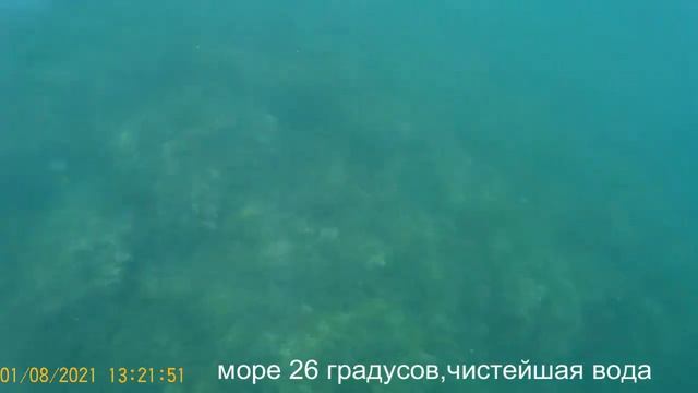КРЫМ.АЛУШТА. 01 АВГУСТА 2020.Дорога на прекрасный пляж ПОРТО МАРЕ где чистейшая вода и мелкая гальк смотреть онлайн