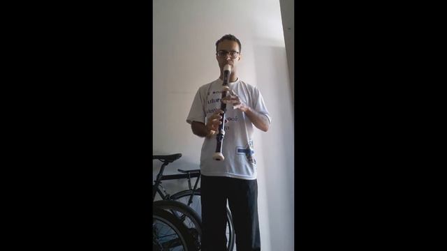 Flauta Doce Tenor Yamaha YRT304B II смотреть онлайн