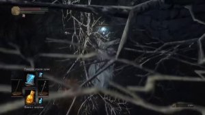 Dark Souls 3 Как забраться на крышу Храм Огня без ключа