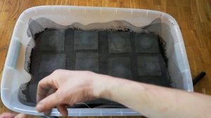 Как кормить и собирать гриндальского червя