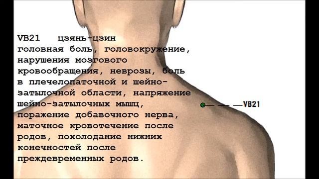 Меридиан желчного пузыря VB смотреть онлайн