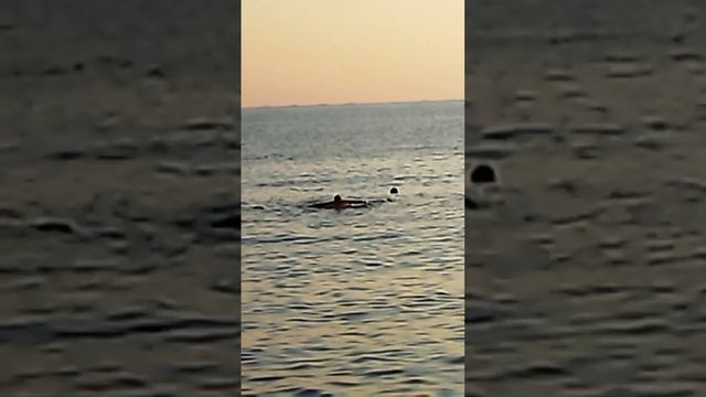 Послушайте о чем шумит Черное море!