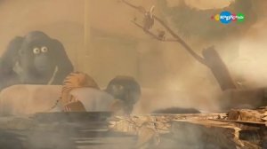 Отряд Джунглей спешит на помощь Для Вероники 08 Карусель 05242017 2056