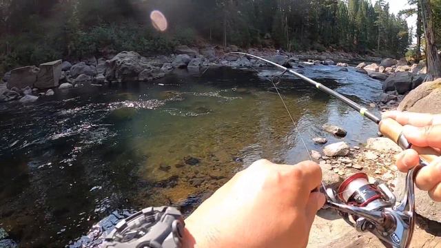 Episode 24: Lake Almanor Trout Fishing, Hamilton Branch 2020 - Part 1 смотреть онлайн