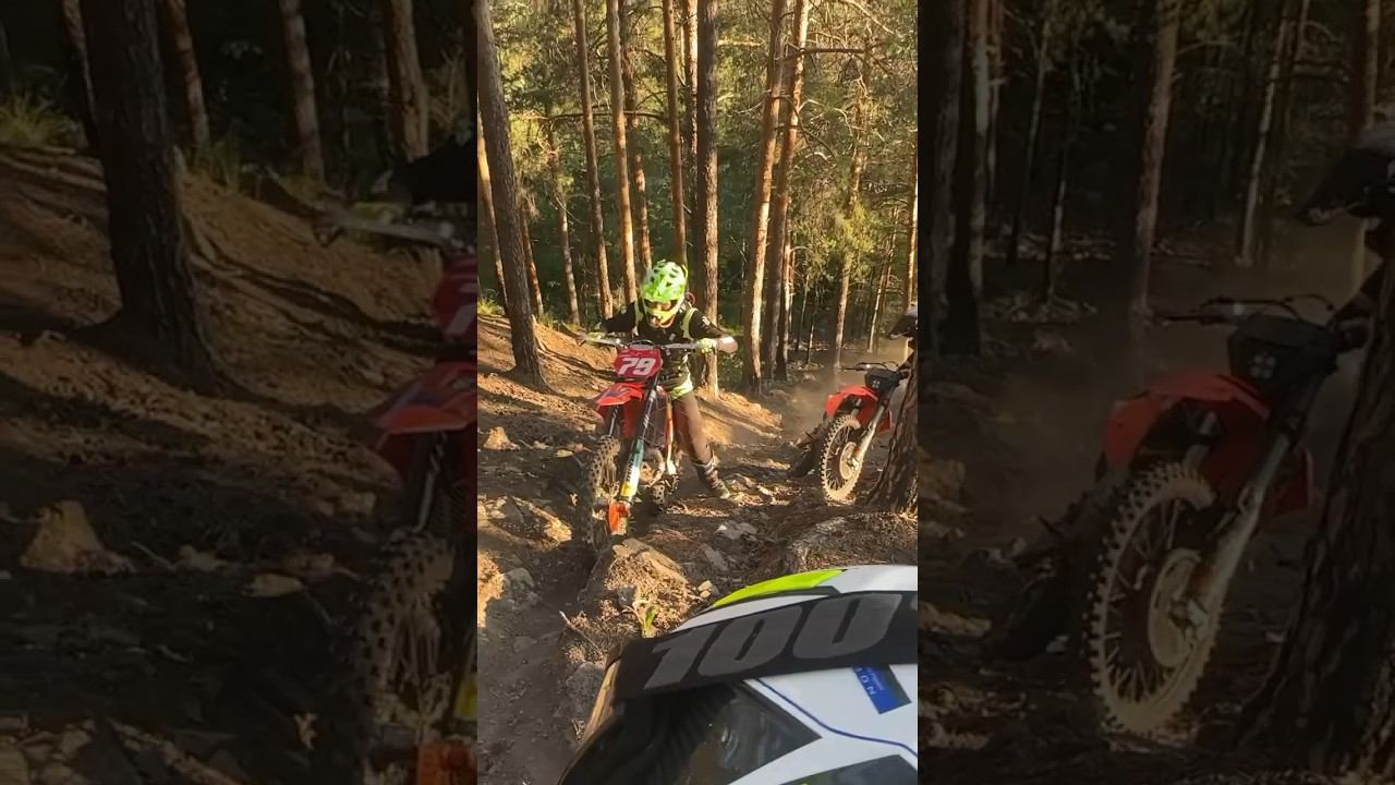 Решили оставить все смотреть онлайн