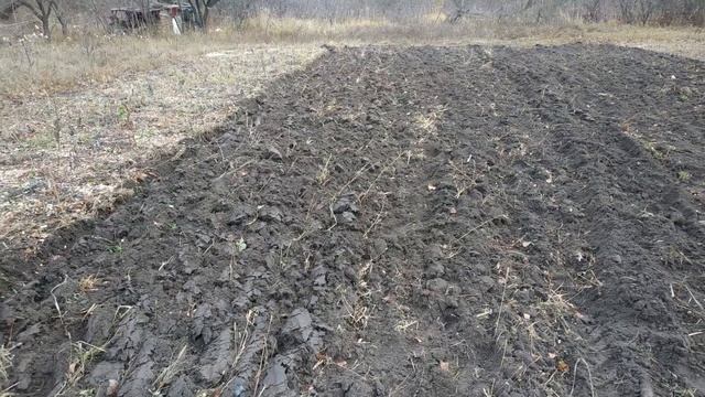 НА ЗИМУ ПАХАЛ ПОКА ПЛУГ СЛОМАЛ смотреть онлайн
