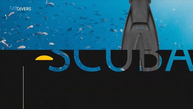 Как выбрать боты для дайвинга. Советы новичкам смотреть онлайн