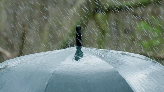 ASMR Umbrella ☔️ Light Rain for Sleep & Study Aid (White Noise, No Talking) смотреть онлайн
