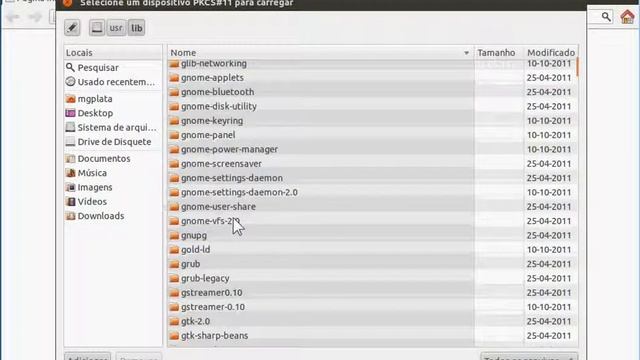 Adicionar Módulo PKCS11 do ePass2000 no Firefox do Linux Ubuntu 11 смотреть онлайн