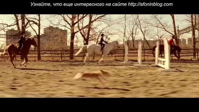 Every Frame a Painting - #4 ВОЛЧЬИ ДЕТИ 2012 - БОКОВОЙ СЛЕДЯЩИЙ ПЛАН смотреть онлайн