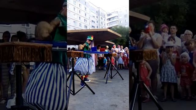 Дрессированные хорьки смотреть онлайн