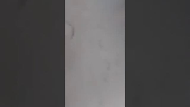 Заколяимся! ;) :3 (кто уже заколялся чтобы не пойти в школу :) смотреть онлайн