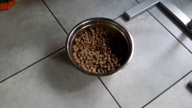 Как правильно кормить щенка. смотреть онлайн