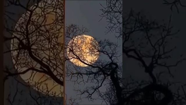 Почему не летаю смотреть онлайн