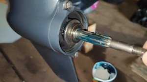 Проверка сальника редуктора Tarpon 9.9 (15) смазка шлицов снимаю винт