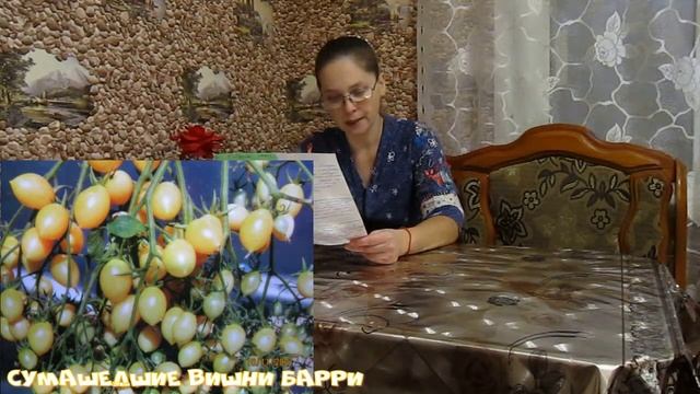 Томаты на 2022 год. Готовимся заранее. Шикарные, очень интересные сорта. смотреть онлайн