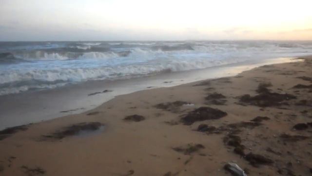 Собрался домой, прощай море. смотреть онлайн