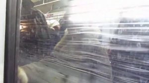 Станция Невский Проспект закрыта из-за угрозы терракта. 26.01.18.